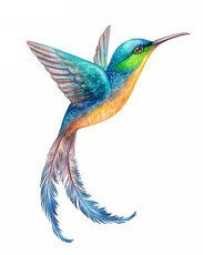 bird 15 - Производство переводных тату по вашему рисунку - PrintTattoo