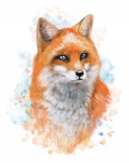 fox 1 - Производство переводных тату по вашему рисунку - PrintTattoo